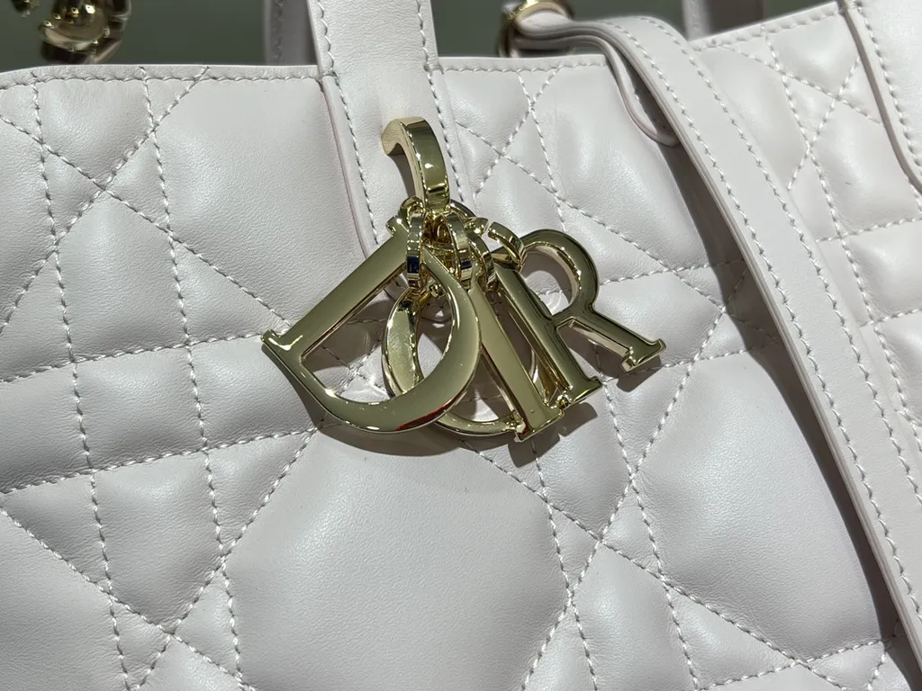 Dior Bag 